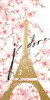 Jadore Blossoms by Kimberly Allen (12 x 24)