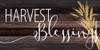 Harvest Blessings by Kimberly Allen (24 x 12)