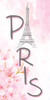 Cherry Blossom Paris 1 by Kimberly Allen (12 x 24)