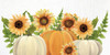 Sunflowers and Pumpkins by Kimberly Allen (24 x 12)