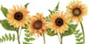 Sunflower Letters v2 by Kimberly Allen (24 x 12)