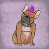Rockin Frenchie Poster Print by Marcus Prime (12 x 12)