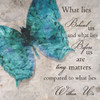Blue Butterfly I Poster Print by Taylor Greene (12 x 12)