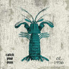 Lobster No Band Teal Poster Print by Jace Grey (12 x 12)
