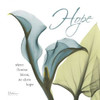 Calla Hope Poster Print by Albert Koetsier (12 x 12)