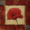 Red Poppie 1 Poster Print by Jace Grey (12 x 12)