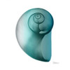 Teal Water Snail 2 Poster Print by  Albert Koetsier  (12 x 12)