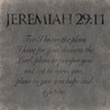 Jeremiah 29-11 Poster Print by Jace Grey (12 x 12)