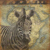Zebra travel Poster Print by Jace Grey (12 x 12)
