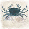 Crab Coast Vision Poster Print by  Kimberly Allen  (12 x 12)