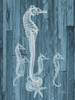 Seahorse Wood Poster Print by Albert Koetsier (9 x 12)