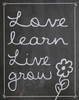 Love Learn Live Grow 1 Poster Print by Lauren Gibbons (11 x 14)