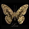 Love Gold Butterfly Poster Print by Taylor Greene (12 x 12)