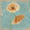 BLUE POPPY SCRIPT I Poster Print by Taylor Greene (12 x 12)