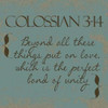 Colossians 3-14 Poster Print by Taylor Greene (12 x 12)