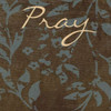 PRAY Poster Print by Taylor Greene (12 x 12)