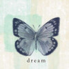 Butterfly Dream Poster Print by Taylor Greene (12 x 12)
