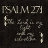 Psalm 27-1 N2 Poster Print by Taylor Greene (12 x 12)