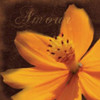 Amour Flower Poster Print by Lauren Gibbons (12 x 12)