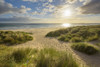 Grassy sand dunes with the sun shining over the beach and the North Sea in the morning at Bamburgh in Northumberland, England, United Kingdom Poster Print by Raimund Linke (20 x 13)