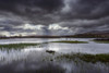 Moor landscape with lake and grassy patches and dark storm clouds at Rannoch Moor in Scotland, United Kingdom Poster Print by Raimund Linke (19 x 12)