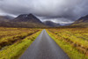 Road with mountains in the highlands at Glen Coe in Scotland, United Kingdom Poster Print by Raimund Linke (19 x 12)