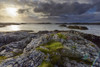 Scottish coast at sunrise in spring at Mallaig in Scotland, United Kingdom Poster Print by Raimund Linke (19 x 12)
