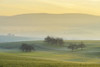 Countryside on Misty Morning, Monchberg, Spessart, Bavaria, Germany Poster Print by Raimund Linke (19 x 12)