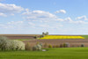Countryside with Flowering Fruit Trees in Spring, Schwarzenbronn, Baden-Wurttemberg, Germany Poster Print by Raimund Linke (19 x 12)
