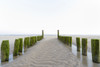 Moss Covered Wooden Breakwater on Sandy Beach at Low Tide, Domburg, North Sea, Zeeland, Netherlands Poster Print by Raimund Linke (19 x 12)