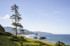 Another beautiful day begins at Ecola State Park on the Oregon Coast; Cannon Beach, Oregon, United States of America Poster Print by Robert L. Potts (17 x 11)