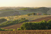 Tuscany Countryside in the Summer, Montalcino, Siena Province, Tuscany, Italy Poster Print by Raimund Linke (19 x 12)