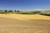 Tuscany Countryside with Wheat Field, in the Summer, Siena Province, Tuscany, Italy Poster Print by Raimund Linke (19 x 12)