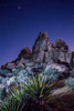 Spiky desert plants in front of rock formations under the starry night sky; Joshua Tree National Park, California, United States of America Poster Print by Ben Horton (12 x 19)