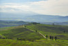 Countryside, Pienza, Val d'Orcia, Province of Siena, Tuscany, Italy Poster Print by Raimund Linke (19 x 12)