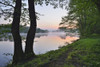 Shore with Trees at River Main in the Dawn, Spring, Dorfprozelten, Spessart, Franconia, Bavaria, Germany Poster Print by Raimund Linke (19 x 12)