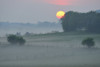 Countryside at Sunrise with Morning Mist, Ober-Moos, Grebenhain, Vogelsberg District, Hesse, Germany Poster Print by Raimund Linke (19 x 12)