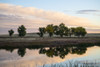 Trees reflected in a placid pond in the Rocky Mountain Arsenal Wildlife Refuge near Denver, Colorado, USA; Colorado, United States of America Poster Print by Kenneth Whitten (19 x 12)