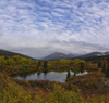 Autumn colours and reflections in a small pond along the South Canol Road on a beautiful Yukon autumn day; Yukon, Canada Poster Print by Robert Postma (16 x 16)