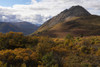 Beautiful autumn colours over the mountains along the South Canol Road on a beautiful day in the Yukon; Yukon, Canada Poster Print by Robert Postma (18 x 12)