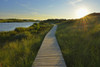 Boardwalk through Dunes, Summer, Wittduen, Amrum, Schleswig-Holstein, Germany Poster Print by Raimund Linke (19 x 12)