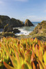 Vegetation and rugged rocks along the coastline at Praia da Azenha do Mar in Porugal; Alentejo, Portugal Poster Print by O'Neil Castro (12 x 19)