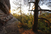 Sandstone Rock in Forest with Sun, Hochstein, Dahn, Dahner Felsenland, Pfalzerwald, Rhineland-Palatinate, Germany Poster Print by Raimund Linke (19 x 12)