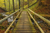 Wooden Bridge over Stream in Forest, Kaskadenschlucht, Sandberg, Gersfeld, Rhon Mountain Range, Hesse, Germany Poster Print by Raimund Linke (19 x 12)