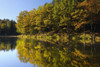 Lake with Trees in Autumn, Studenbach, Eppenbrunn, Pfalzerwald, Rhineland-Palatinate, Germany Poster Print by Raimund Linke (19 x 12)