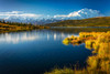 Mount Denali (McKinley) reflects on Wonder Lake under a blue sky in autumn; Denali National Park and Preserve, Interior Alaska, Alaska, United States of America Poster Print by Sunny Awazuhara- Reed (20 x 13)
