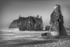 Black and white image of sea stacks and Abbey Island at Ruby Beach in the Olympic National Park, on the Washington Coast; Kalaloch, Washington, United States of America Poster Print by Doug Ogden (20 x 13)