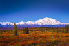 Mount Denali (McKinley) at dawn with fall colors of the tundra in the foreground in autumn; Denali National Park and Preserve, Interior Alaska, Alaska, United States of America Poster Print by Sunny Awazuhara- Reed (20 x 13)