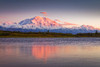 Sunset glow on Mount Denali (McKinley) reflecting in the ripples of the Denali Reflection Pond; Denali National Park and Reserve, Interior Alaska, Alaska, United States of America Poster Print by Sunny Awazuhara- Reed (20 x 13)