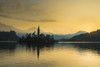 Silhouette of church and other buildings on Lake Bled at dawn; Bled, Slovenia Poster Print by Ian Cumming (20 x 13)